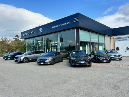 Rossi E Vespignani Srl